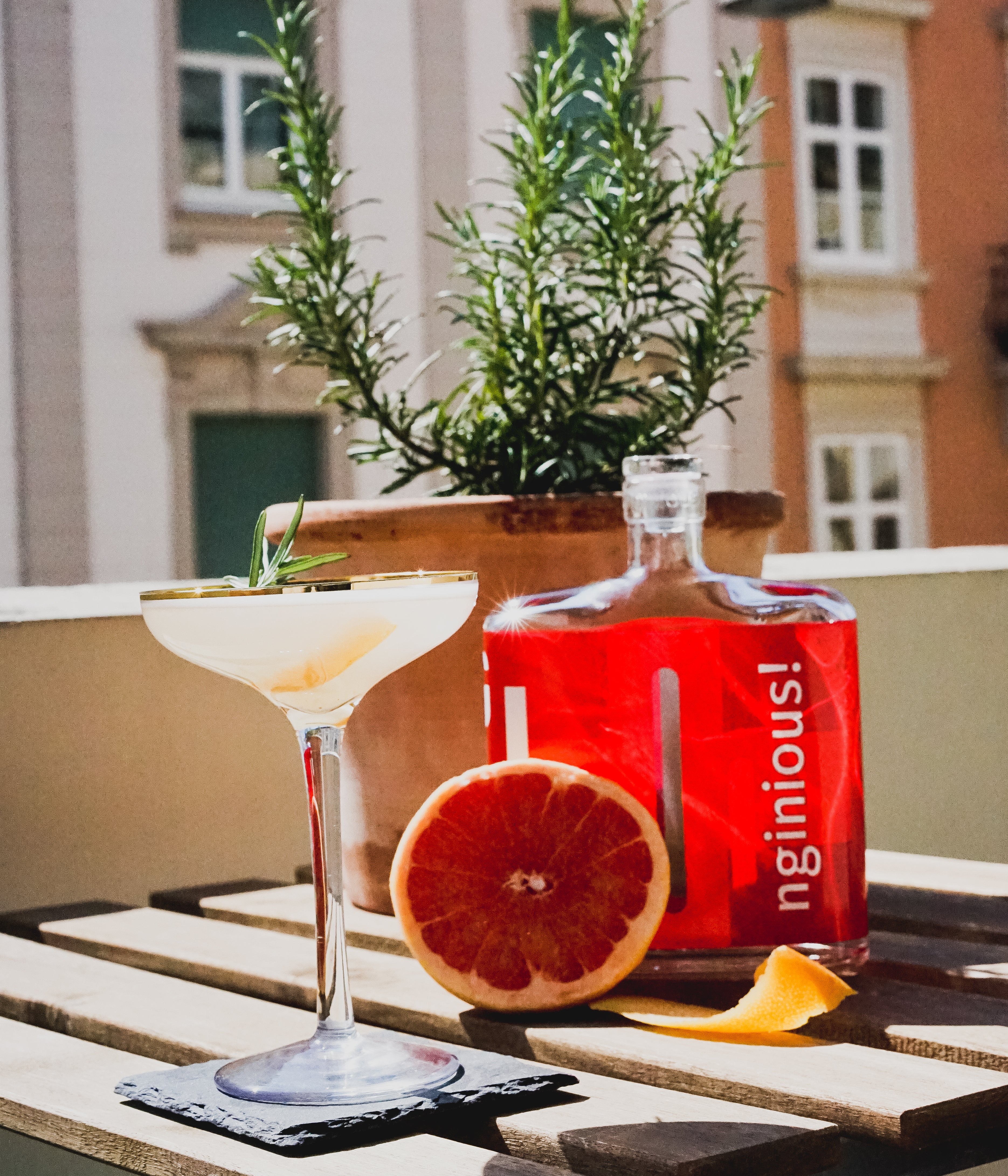 Graperfruit Martini