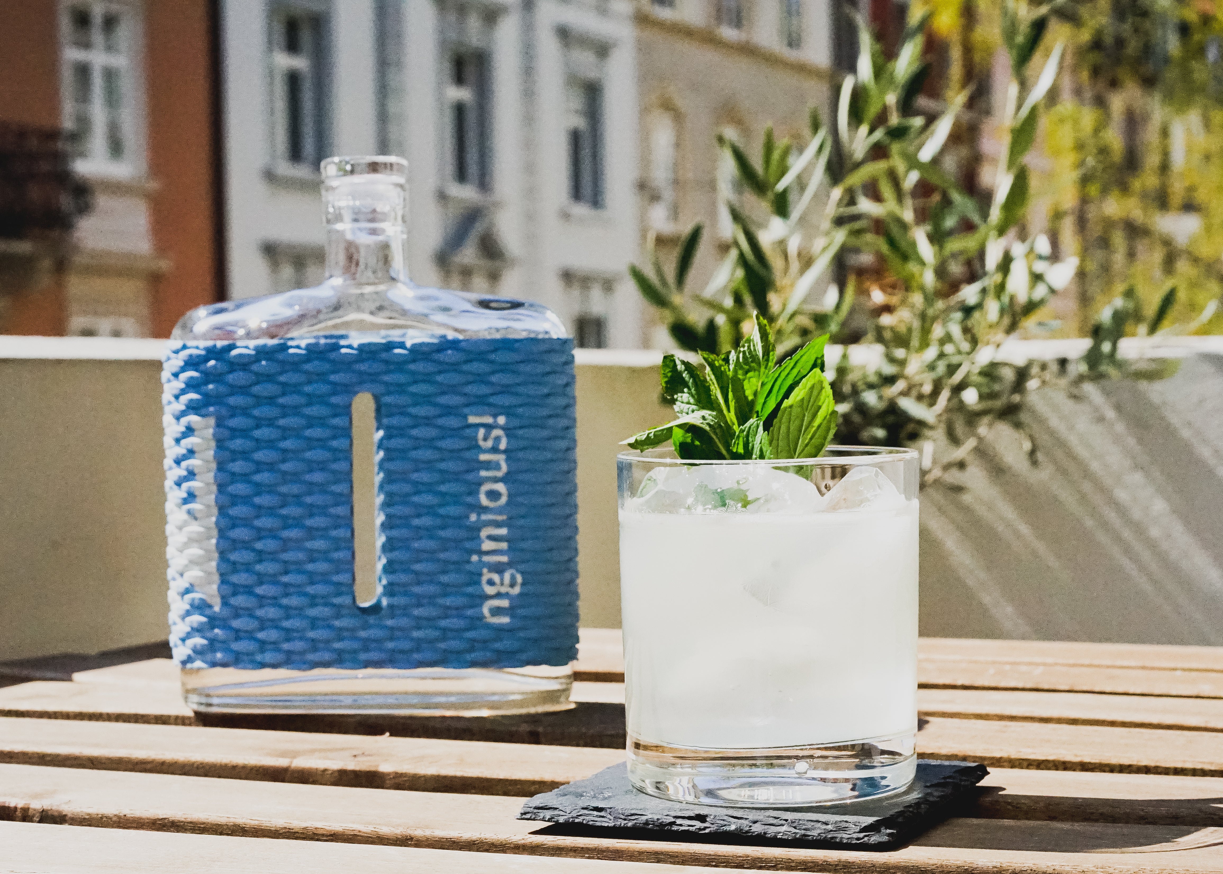 summer nginous gin southside cocktail